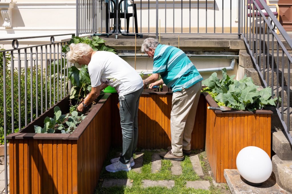 zwei alte Menschen stehen an einem Hochbeet