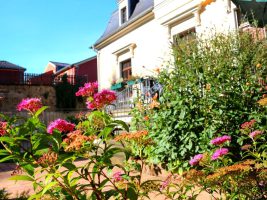 Blick durch Blumen auf das Gebäude